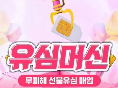 무피해 선불유심