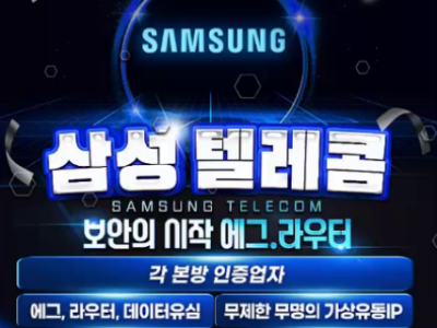 보안의 시작 에그라우터